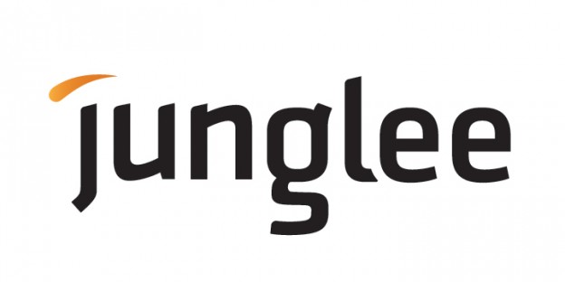 Can Junglee.com make a dent ?